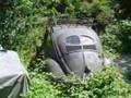 VW Split window
