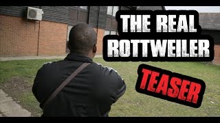 The Real Rottweiler - *Teaser