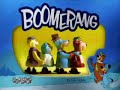 Picture Boomerang Porm Short2