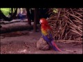 Image Isolated The Zo é Tribe Part 3