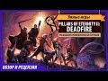 Pillars Of Eternity II: Deadfire. Обзор игры и рецензия Pillars Of Eternity II: Deadfire. Обзор игры и рецензия