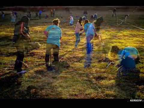 VIDEOCLIP Plantare de toamna pentru Padurea Copiilor - II / noiembrie 2013