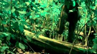 CURSE Trailer (2012)