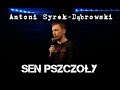 Skecz, kabaret = Antoni Syrek-Dąbrowski - Sen Pszczoły 2011 (Król Polskiego Stand-Upu)