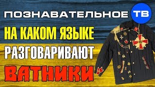 Как делают Украину 3: На каком языке разговаривают ватники? (Елена Гоголь)