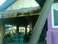 Picture Lalat Ngentot