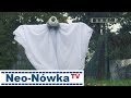 Neo-nówka - Zima Za Pasem