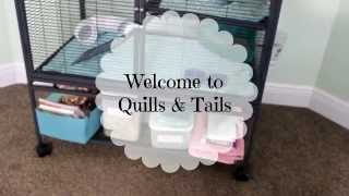 Quills & Tails Channel Trailer