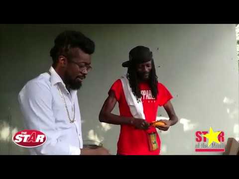 Beenie Man's 'Unstoppable Swimmers'