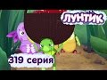 Mkvqptzf47U