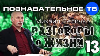 Разговоры о жизни 13 (Познавательное ТВ, Михаил Величко)