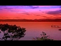 Picture 8 Sleep Music Delta Waves Dream Music Sleep Hypnosis Soft Music Calming Music ☯604