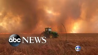 Record wildfires rage in Amazon rain forest l ABC NewsRecord wildfires rage in Amazon rain forest l ABC News