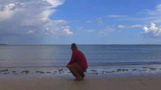 CSI Hat Girls Episode 3 Trailer