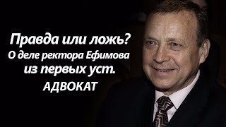 Адвокат Ефимова В.А. о текущей ситуации