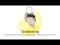 Image of the cover of the video;Programa Shadowing 2024