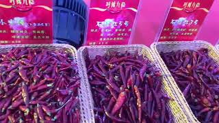 Trailer: Hot Pot and spicy food carnival in Chongqing!