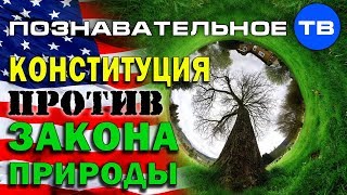 Государство против закона природы (Айрат Димиев)