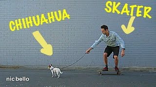 Dog pulling a skateboard in Venice Beach - Trailer