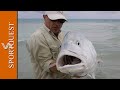 Photo Fly Fishing For Gt S On Christmas Island Mind Blowing Action