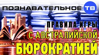 Правила игры с австралийской бюрократией (Познавательное ТВ, Михаил Аносович)