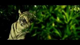 Plastic City - Cidade de Plástico (2008) - Trailer Oficial