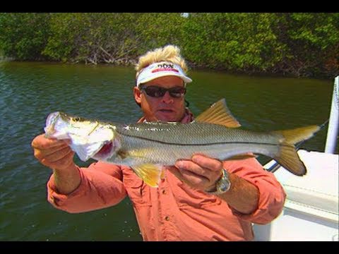 Space Coast Canals -
Space Coast Canals -