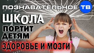 Система образования против здоровья детей. Часть 1 (Владимир Базарный)