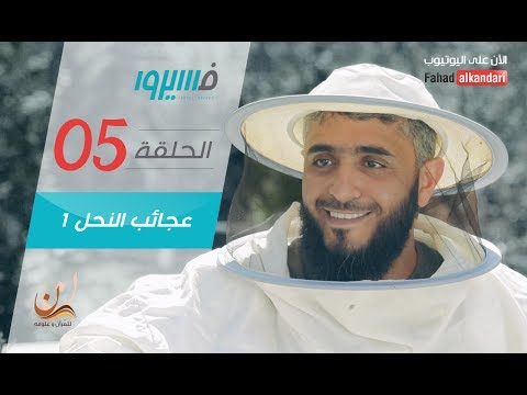 برنامج فسيروا - فهد الكندري - عجائب النحل (1)