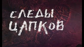 Следы Цапков. Линия защиты