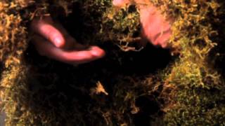 La jungla interior - Trailer La jungla interior - Trailer