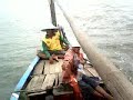 Picture Penampakan Hiu Siluman Yang Dijuluki Embah Di Gending Probolinggo Jawa Timur
