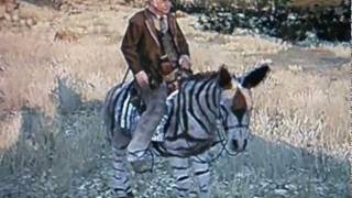 Rdr Zebra