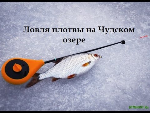 Фаркоп для славуты Фаркоп для славуты