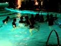 Pool Party in the middle of club XS Part 1
