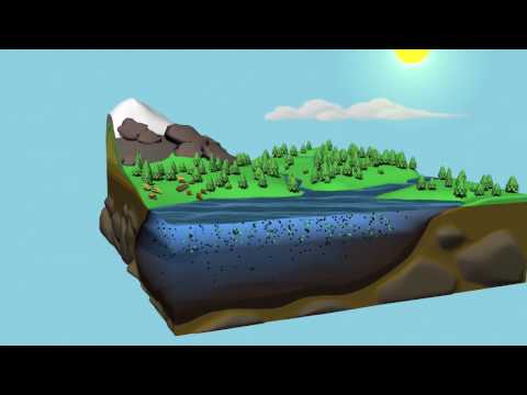 NASA: The Carbon Cycle [720p]