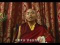 His Holiness The XVII Karmapa and Rinpoches' 2007 New Year B