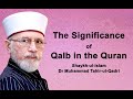 The Significance of Qalb in The Quran | Shaykh-ul-Islam Dr Muhammad Tahir ul Qadri