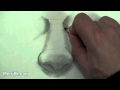 MASTER: Drawing the Male Nose (How to Draw the Nose Step by Step