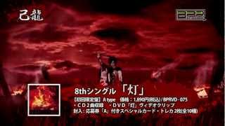 己龍 - 灯