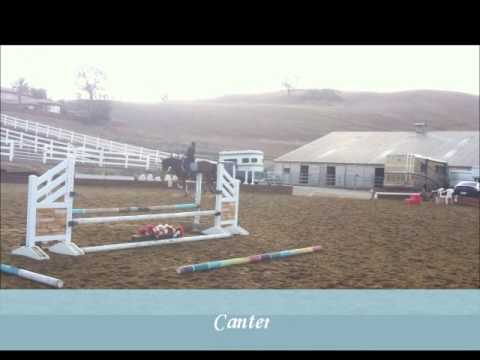 Hit to Play Youtube video Youtube video