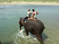 Susan&#39;s Elephant Bath
