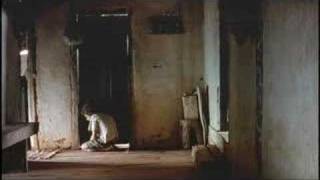 Trailer de "Mutum", o filme