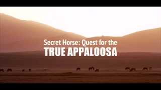 Secret Horse: Quest for the True Appaloosa Trailer BBC4 Jan 2015