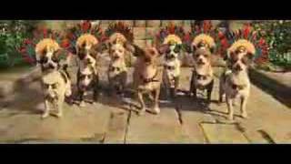 Beverly Hills Chihuahua Trailer 2008