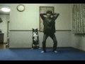 Dog Doing Exercise, Dog Doing Exercise Video