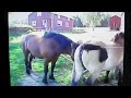 Photo Hors Sex 8