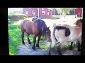 Image Hors Sex 8