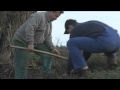 Pokračování ekologického projektu v Rohově - brigáda zahradníků