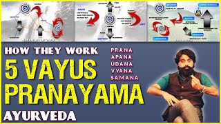 Pranayama Practice: Udana Pranayama (Audio Recording) — Five Prana